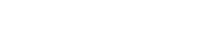Total Loan Services